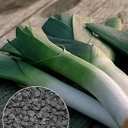 Лук "Порей" ТМ "Весна" 2г (13361)