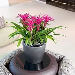 Вазон Lechuza Classico Premium LS, 13 л, білий (16060) - мініатюра 9