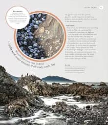 The Ocean Book: The Stories, Science, and History of Oceans - мініатюра 4