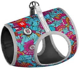 Шлея для собак мягкая Waudog Clothes Лето, с QR паспортом, XS4, 36-39х26-28 см