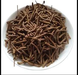 Береза Сережка Betula pendula