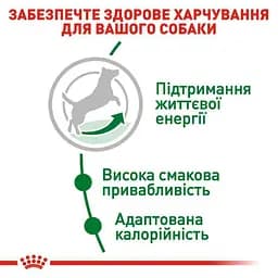 Сухий корм для собак віком від 8 до 12 років Royal Canin Mini Adult 8+, 800 г (30020089) - мініатюра 5