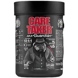 Аминокислота Zoomad Labs Labs Caretaker BCAA 480 грамм Вишня