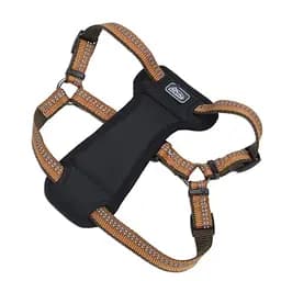 Шлея с нагрудником Coastal K9 Explorer Harness 2.3-4.5 кг для собак (36445_COG18)