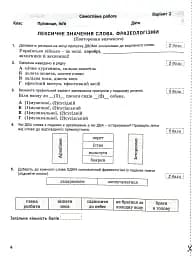 Українська мова. 7 клас. Контроль результатів навчання - мініатюра 3