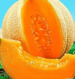 Насіння Весна на вагу Диня Спокуса ціна за 5 г (177664)