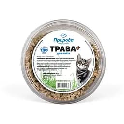 Трава швидкозростаюча для котів