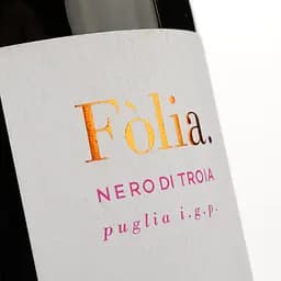 Вино Diomede Folia червоне сухе 0.75 л - мініатюра 3