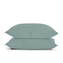 Набір наволочок Cosas Agave 50х70 см агавовий (SetPillow_RanforsAshmint_50)