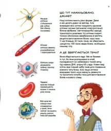 Герої та лиходії в нашому тілі - мініатюра 3