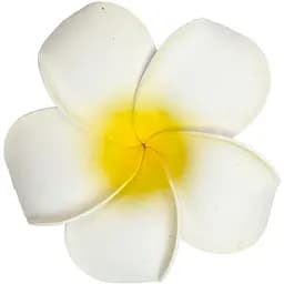 Заколка Гавайи