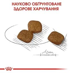 Сухий корм для собак малих порід з тьмяною та сухою шерстю Royal Canin Mini Coat Care, 3 кг (1220030) - мініатюра 5