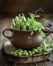 Набір для творчості алмазна картина Зелений горошок Strateg HEG86042, 30x40 см