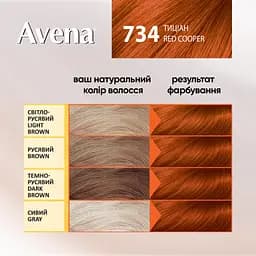 Cтійка крем-фарба для волосся Avena Gloss Color тиціан 734 138 мл - мініатюра 4