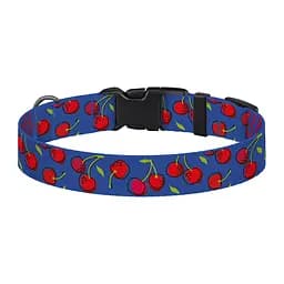 Нашийник для собак BronzeDog Urban Fruits M - мініатюра 3