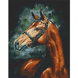 Картина за номерами ArtCraft Гордий скакун 11508-AC 40х50 см