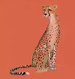 Animals of Africa - мініатюра 4