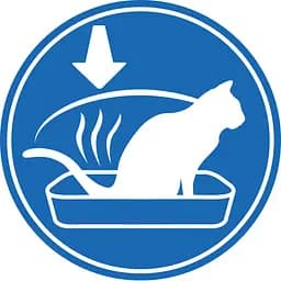 Сухий корм для домашніх довгошерстих кішок Royal Canin Indoor Long Hair м'ясо птиці і кукурудза 2 кг - мініатюра 3