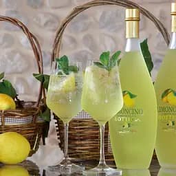 Лікер Bottega Limoncino, 30%, 0,5 л (671481) - мініатюра 3