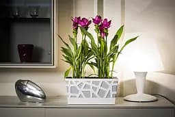 Вазон Idel Flowerbox, 40 см, фісташковий з білим (730041) - мініатюра 10