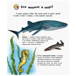 Книга Океани та моря. Енциклопедія дошкільника - Юлія Каспарова Ранок (9786170993489) - мініатюра 6