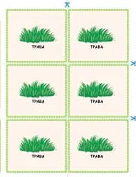 STEM-Старт. Зошит для учня. Наука про життя. 3 клас - мініатюра 15