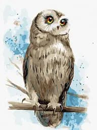 Набір для розпису по номерах Мудрий погляд, 30x40 см, КНО4296