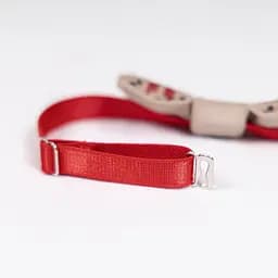 Аксесуар шийний Pet Fashion Ruta для собак XS-XS2 - мініатюра 2
