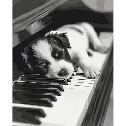 Картина за номерами Brushme Мелодія сну 40x50 см