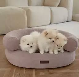 Лежак ортопедичний для собак "Marshmallow" рожевий S (70*65) - мініатюра 7