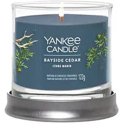 Свічка Yankee Candle Small Bayside Cedar Прибережний кедр 122 г (1744755E)