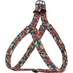 Шлея для собак BronzeDog Urban Art Вітраж S 40-53 см