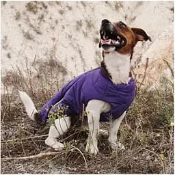 Жилет для собак Pet Fashion E.Vest XS фіолетовий - мініатюра 4