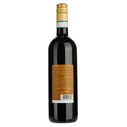 Вино Sizarini Montepulciano d'Abruzzo DOC червоне сухе 0.75 л - мініатюра 2