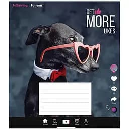 Зошит учнівський Influencer Школярик 012-3260L-3 до лінії 12 аркушів