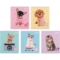Набор тетрадей Kite Studio Pets 24 листа в клетку 20 шт. (SP25-238)