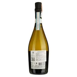 Вино ігристе Teresa Rizzi Prosecco Spumante, біле, брют, 11%, 0,75 л - мініатюра 2