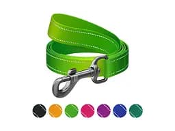 Поводок для собак WAUDOG Nylon Mono, светоотражающий L-XXL салатовый (52195)
