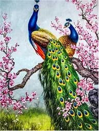 Алмазна мозаїка за номерами Павліни, 30x40 см, полотно на рамі