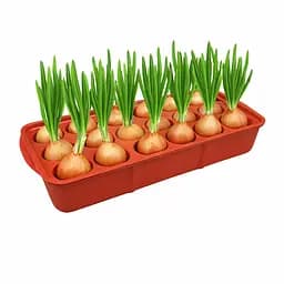 Лоток (піддон) для вирощування цибулі та розсади луковичниця 2.2 л 38 × 16 × 6 см Зелений 88089 - мініатюра 6