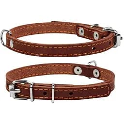 Нашийник для собак Collar одинарний (4820152563606)