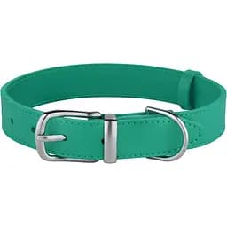 Ошейник для собак BronzeDog Barksi Classic кожаный XL 43-56х3 см ментоловый