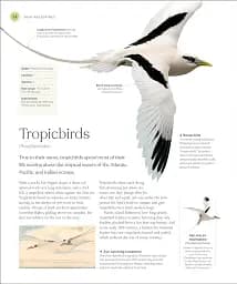 The Bird Book - мініатюра 2