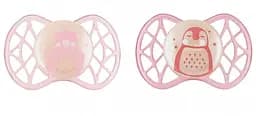 Силиконовая симметричная пустышка Nuvita Air55 Explorer Мишка и Пингвин, светится в темноте, 0+ мес., 2 шт. (NV7067GF)