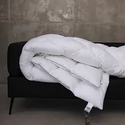 Ковдра пухова MirSon Raffaello 051, king size, 240x220, біла (2200005895030) - мініатюра 16