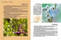 Комахи та інші - мініатюра 3