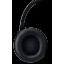Гарнітура Panasonic RB-M600BG-K (7121458) - мініатюра 3