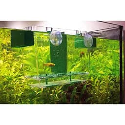 Плавучий розплідник Hobby Nido 2 21x16x14 см (61360) - мініатюра 5