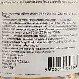 Вино Herdade do Rocim Olho de Mocho Rose PGI Alentejo рожеве сухе 0.75 л - мініатюра 4