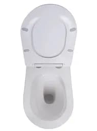 Набір Q-tap Nest 4 в 1 підвісний унітаз Robin Ultra Quiet 520x365x365 + комплект інсталяції QT13332381AW47499 - мініатюра 5